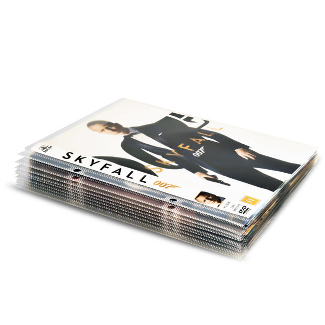 DVD Sleeves with Binder Holes for DVD Storage