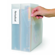 Self-adhesive Label Holder, Permanent, 55 x 150 mm, with Printable Inserts