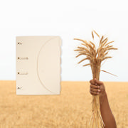 Tree-Free Smartfolder Perforated Folder, with Tab, A4