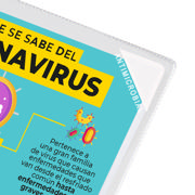 Kang Easy Clic Antimicrobial Self-adhesive Signage Pocket, Repositionable, A4