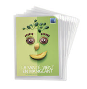 Kang Antimicrobial L-Folder, A4 