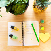 Atlanta Things To Do Summer, Medium, 100% Recycled Paper, FSC®