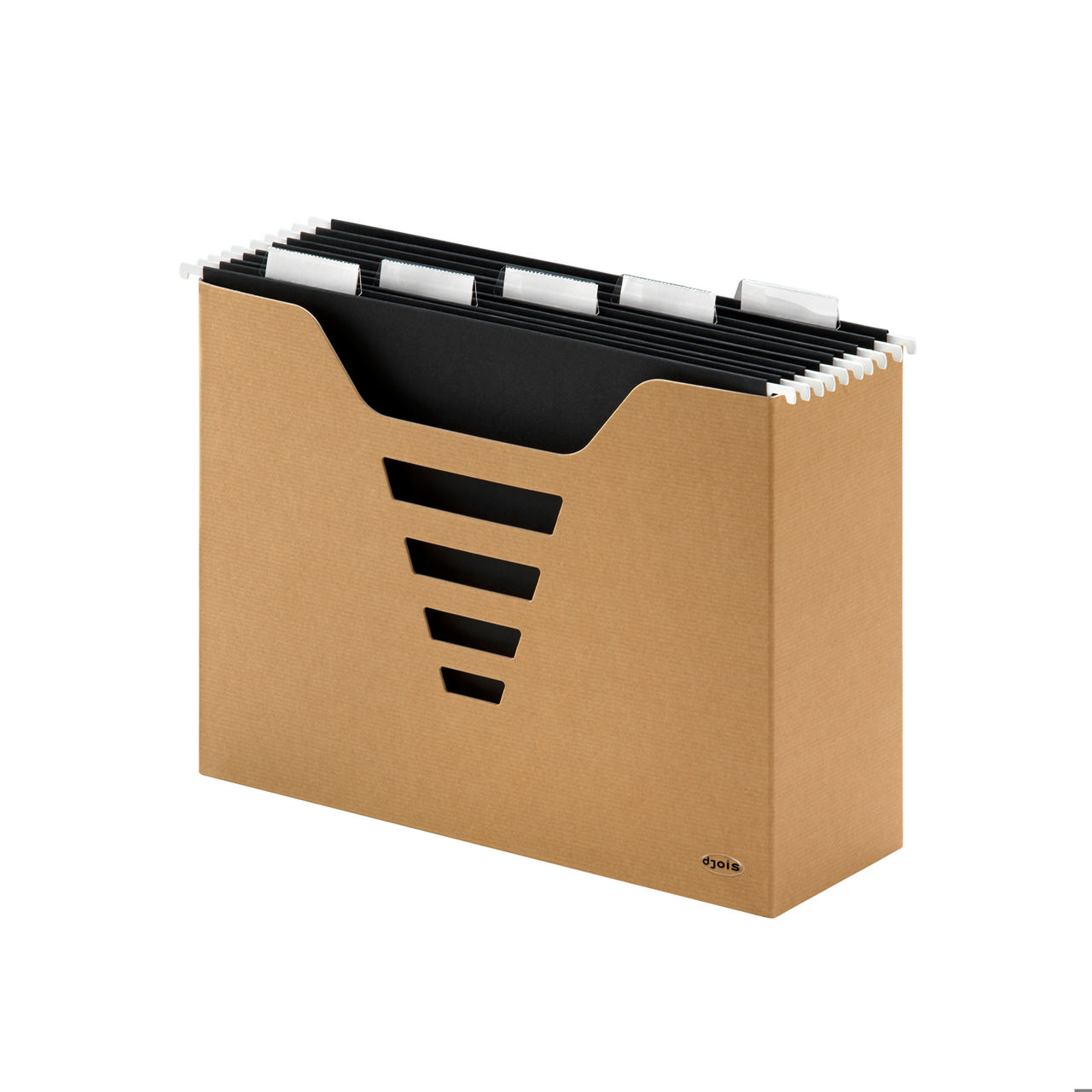 Kraft Line Suspension File Box, with 5 A4 Euroflex Suspension File Folders, FSC®