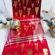 Set of Acrylic Trays, Rectangular