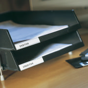 Self-adhesive Label Holder Strip, Permanent, 40 x 150 mm, with Insert